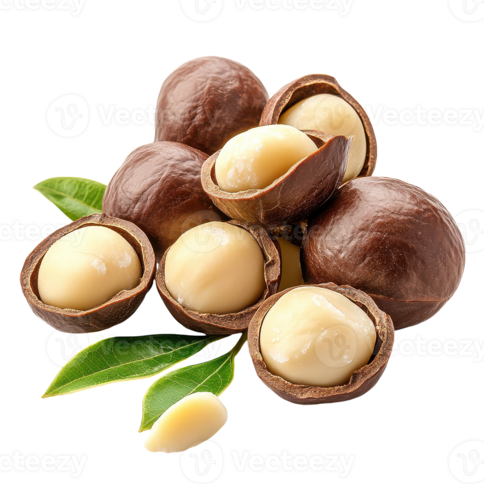 Macadamia Nuts with Fresh Leaves Display on transparent background png