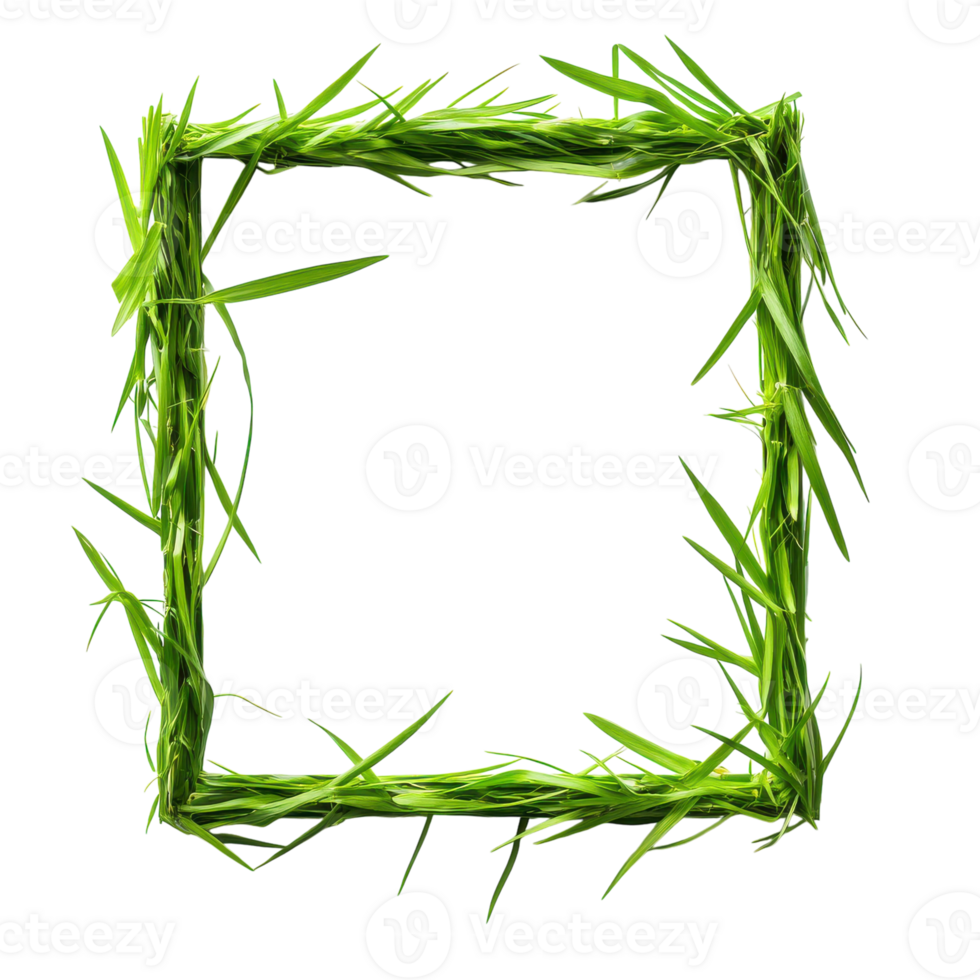 Square Grass Frame Isolated for Natural Design Use on transparent background png