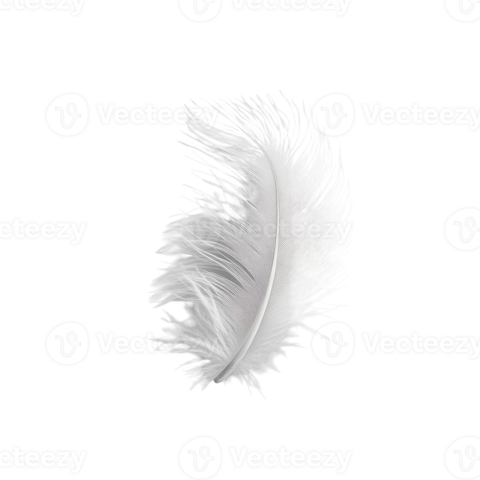 Elegant White Feather for Creative Projects on transparent background png