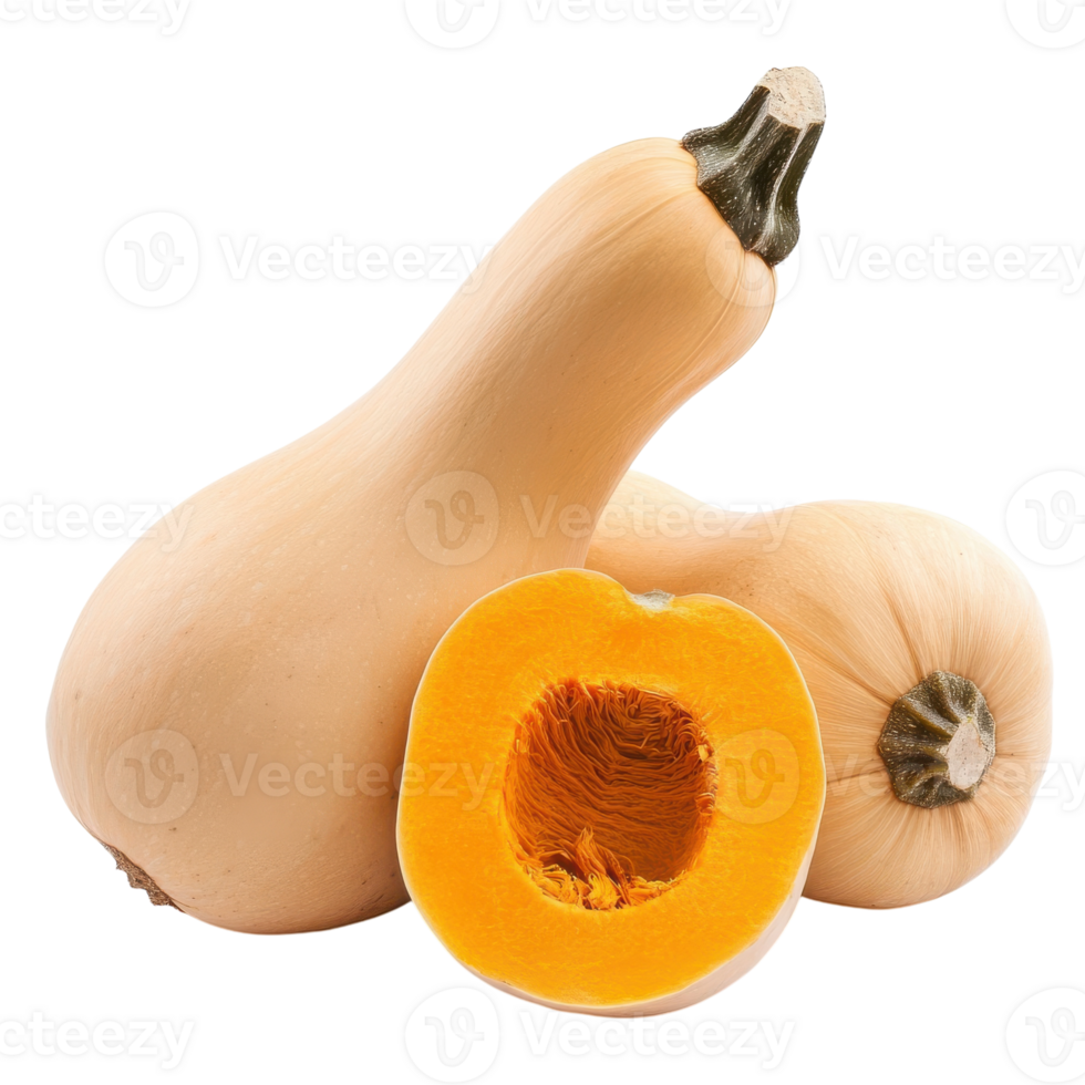 Butternut Squash Isolated for Culinary Use and Nutrition on transparent background. png