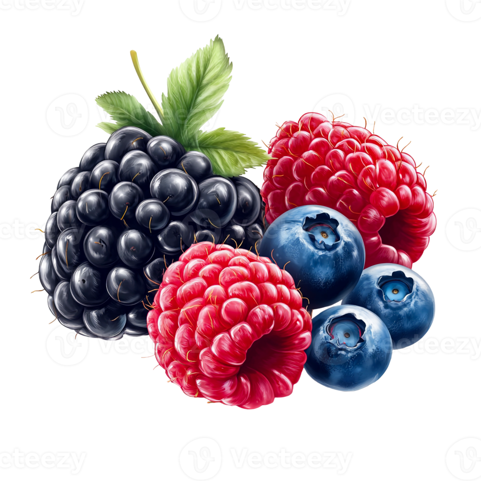 A Mix of Berries with Blackberries, Blueberries, and Raspberries png