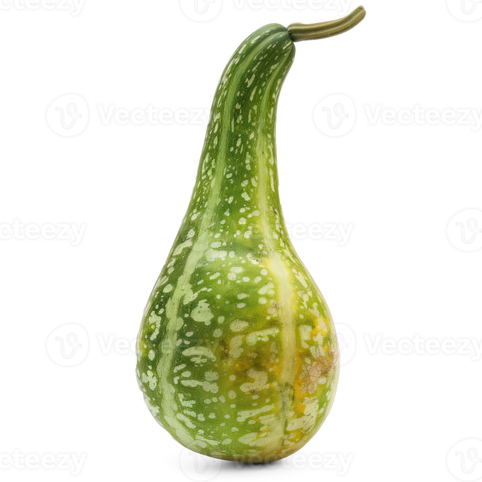a green squash on a transparent background png
