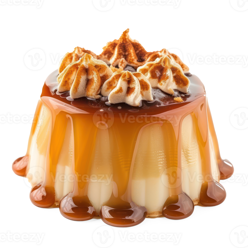 caramel pudding with caramel sauce on top of a transparency background png
