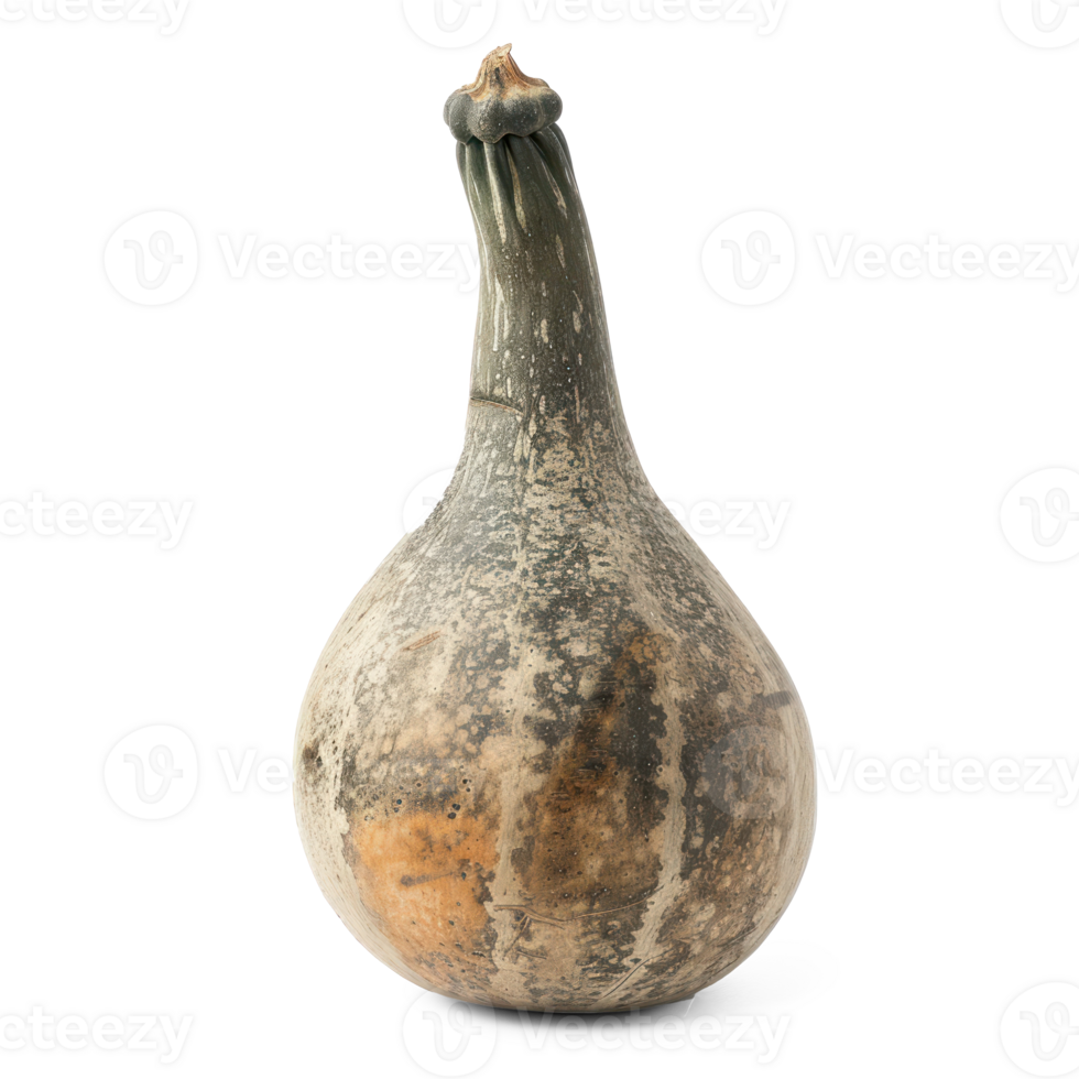 a gourd on a transparent background png