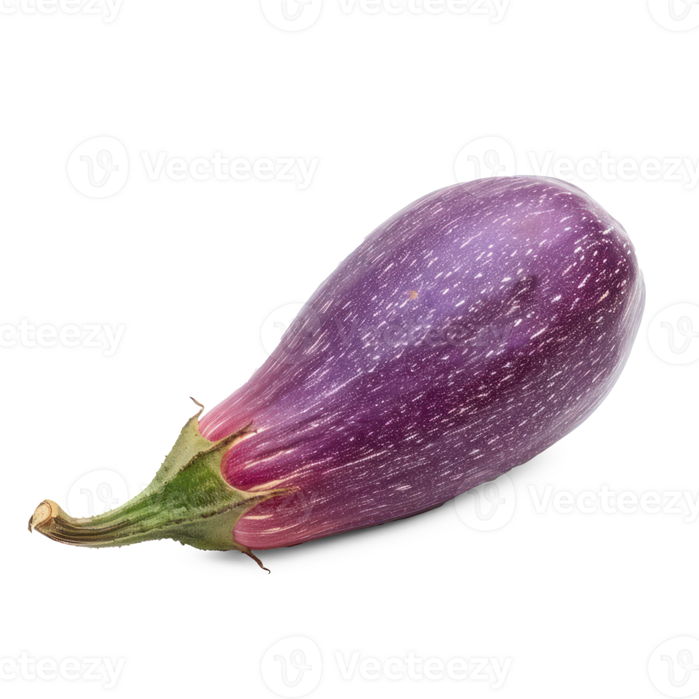 eggplant isolate on transparent background png