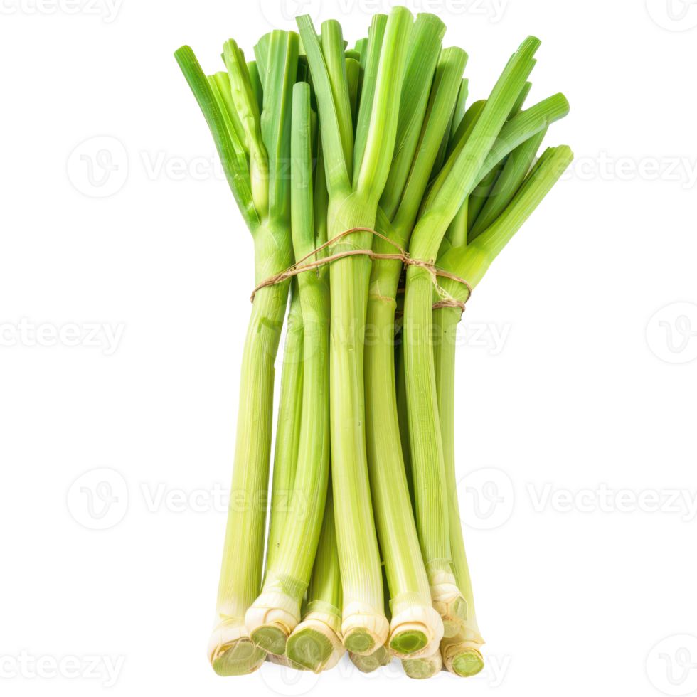 green leeks on a transparent background png