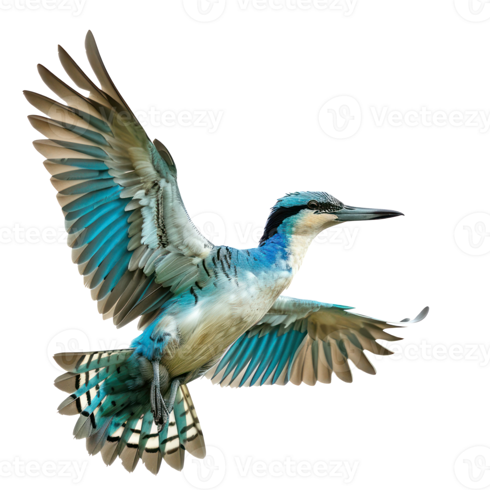 a blue and white bird flying in the air png
