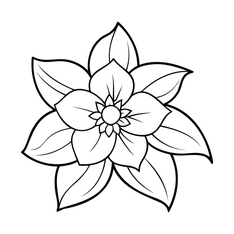 Black and white illustration of a hellebore flower with layered petals and intricate lines vector