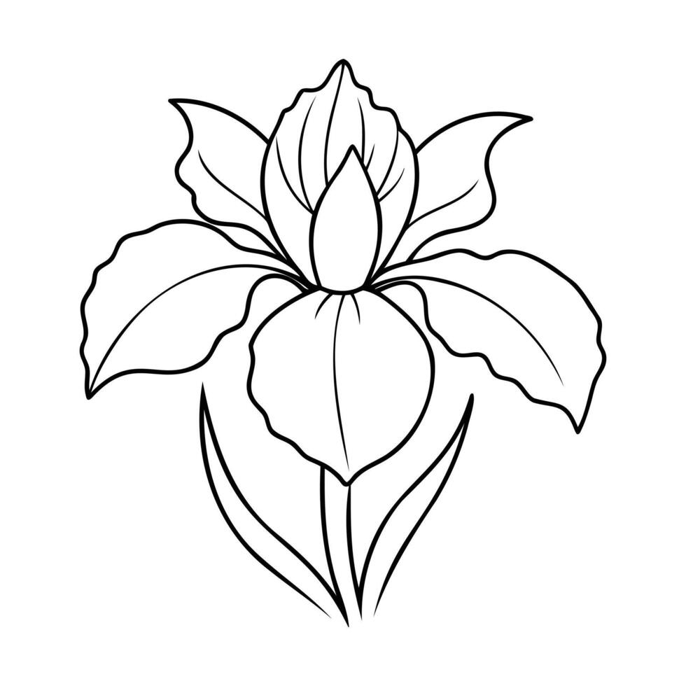 Simple black and white line art of an iris flower with detailed petals, leaves, and a central bud vector