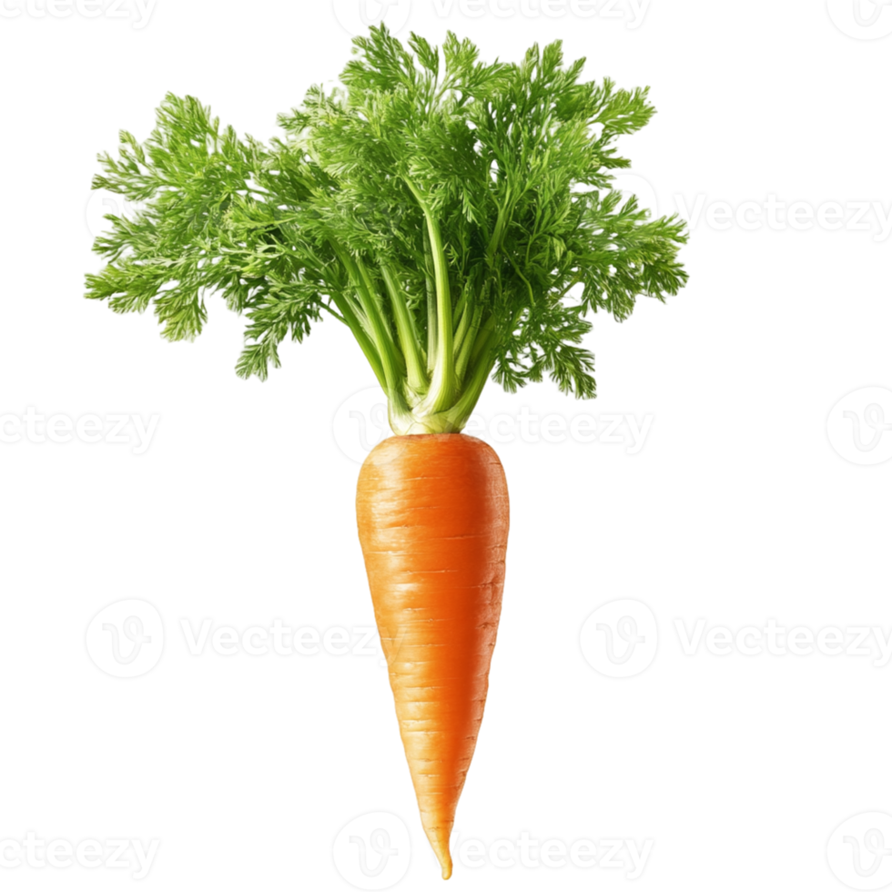 Fresh Isolated Carrot on Transparent Background for Digital Art, Design, and Creative Projects png