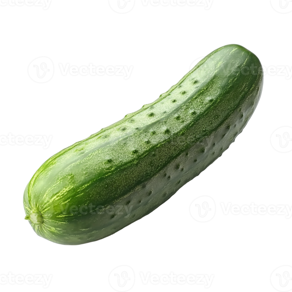 Cucumber Isolated on Transparent Background for Healthy Food Branding, Vegetable Design, and Digital Art Projects png