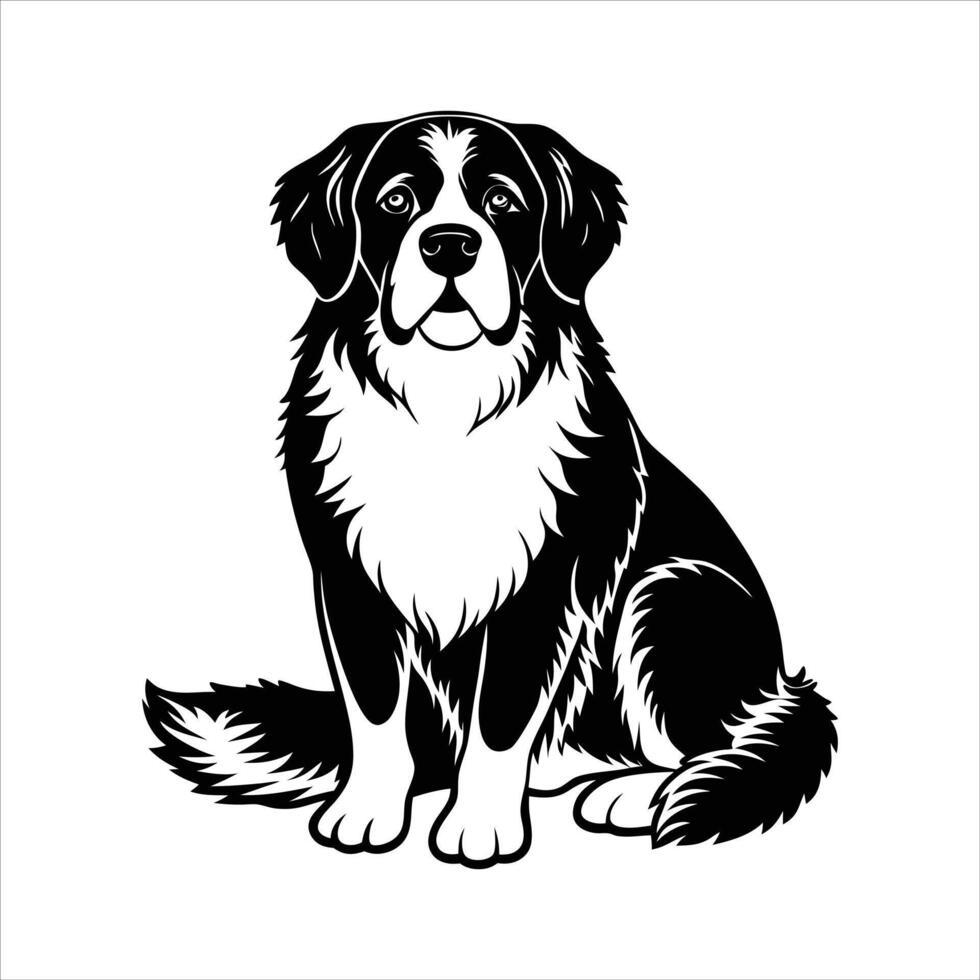 St. Bernard Dog Illustration vector