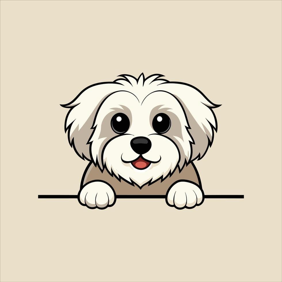 Havanese Dog Peeking Face vector