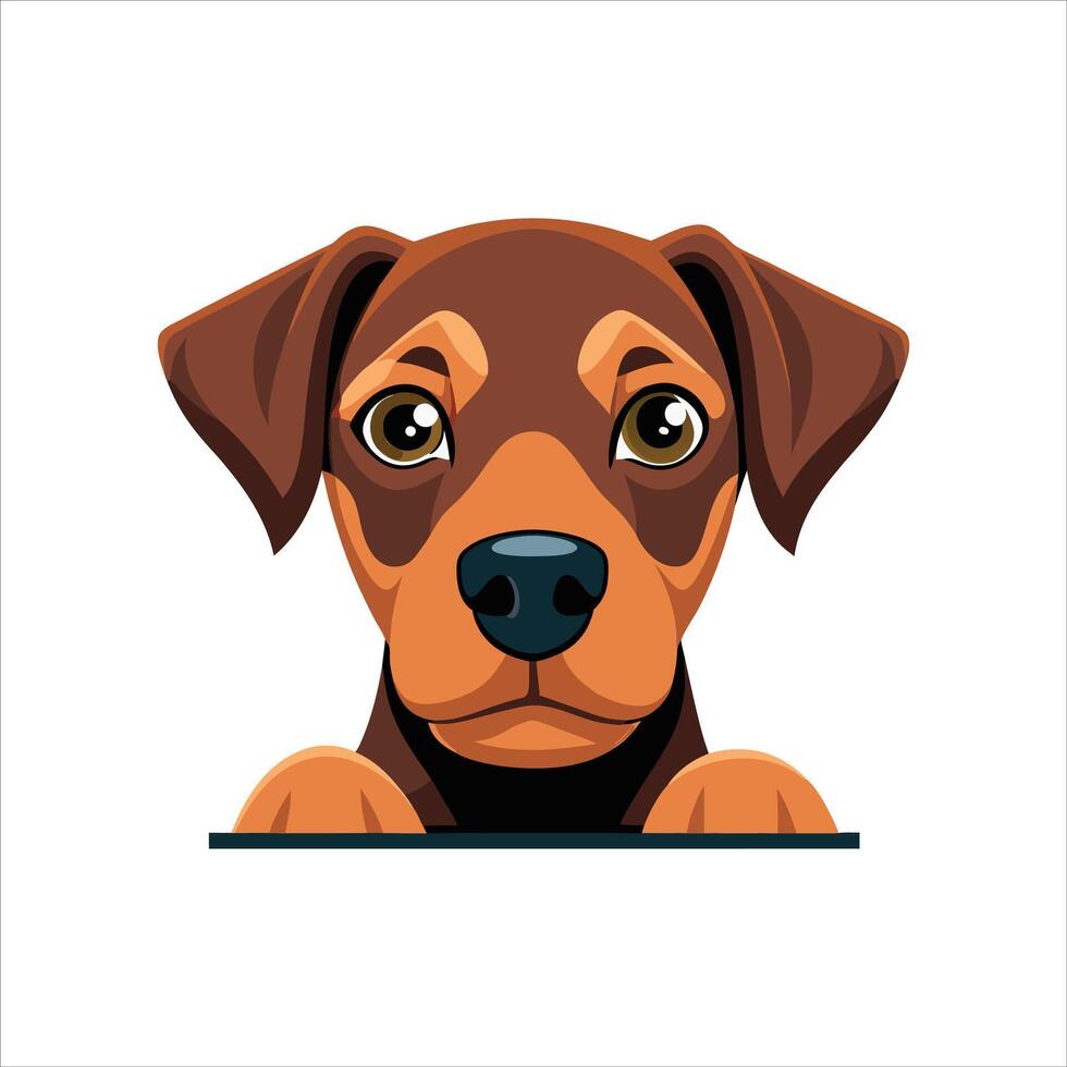 Rhodesian Ridgeback Peeking Face vector