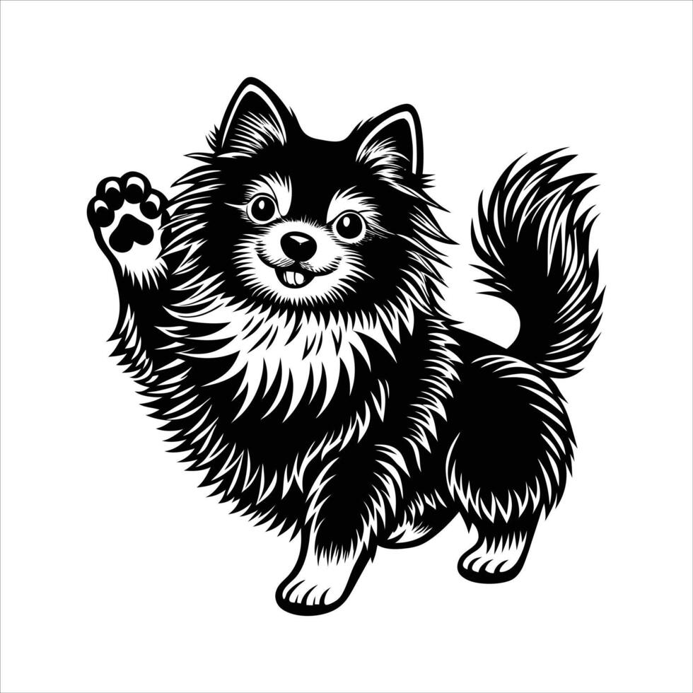 Pomeranian Dog Illustration vector