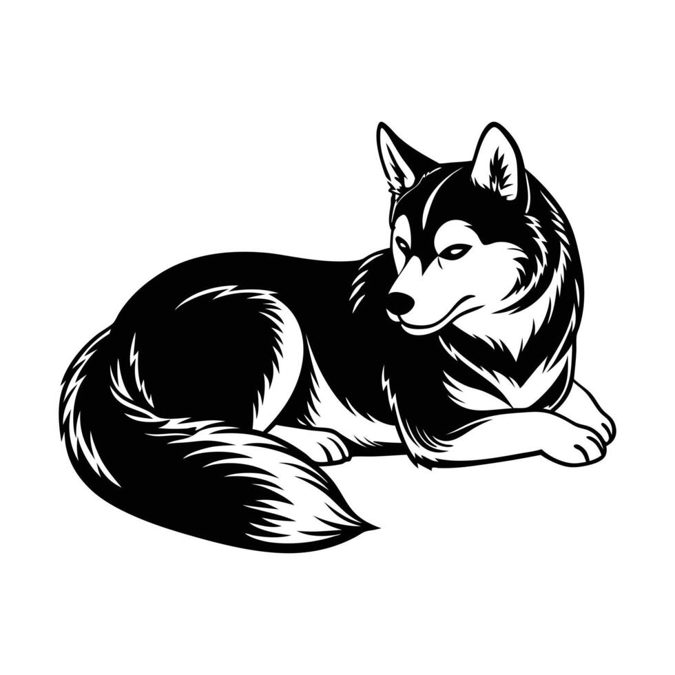 Siberian Husky Dog vector