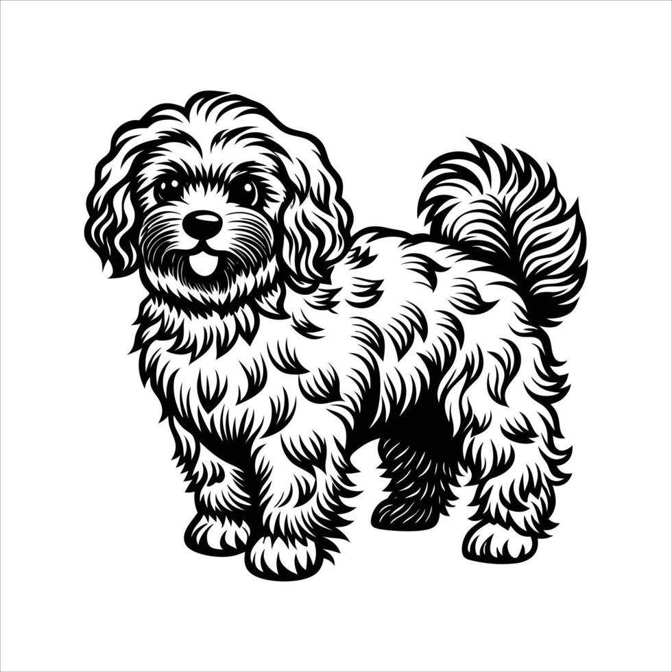 Bichon Frise Dog Illustration vector
