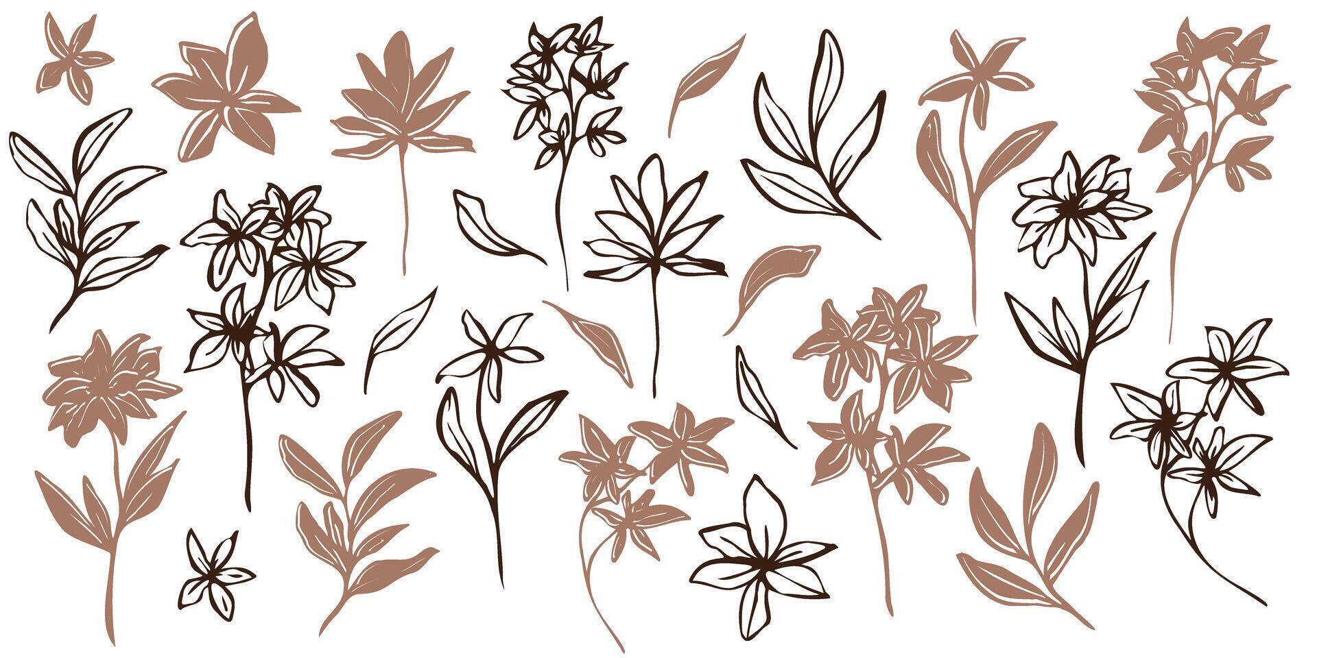 Minimalistic botanical illustration. hand drawn flowers and leaves in mocha and brawn outlines. line art and silhouettes, emphasizing natural, organic beauty in a modern style vector