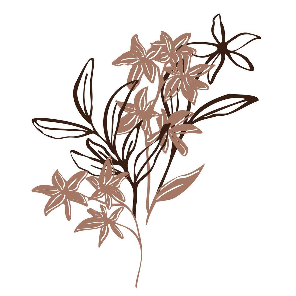 Minimalistic botanical illustration. bouquet with hand drawn flowers and leaves in mocha and brawn outlines. line art and silhouettes, emphasizing natural, organic beauty in a modern style vector