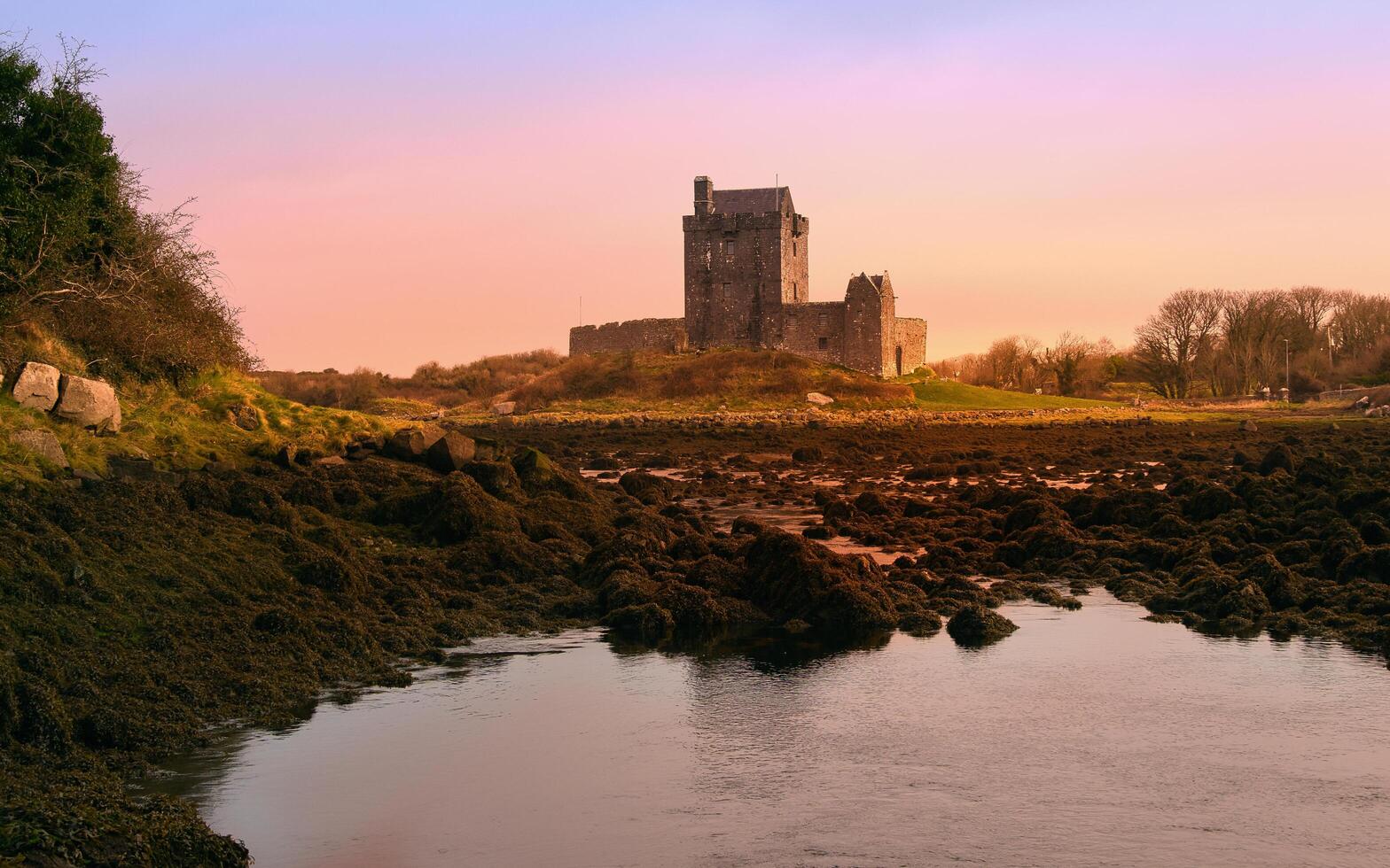 Beautiful sunrise coastal landscape scenery of Dunguaire castle at Kinvara bay, Galway, Ireland photo