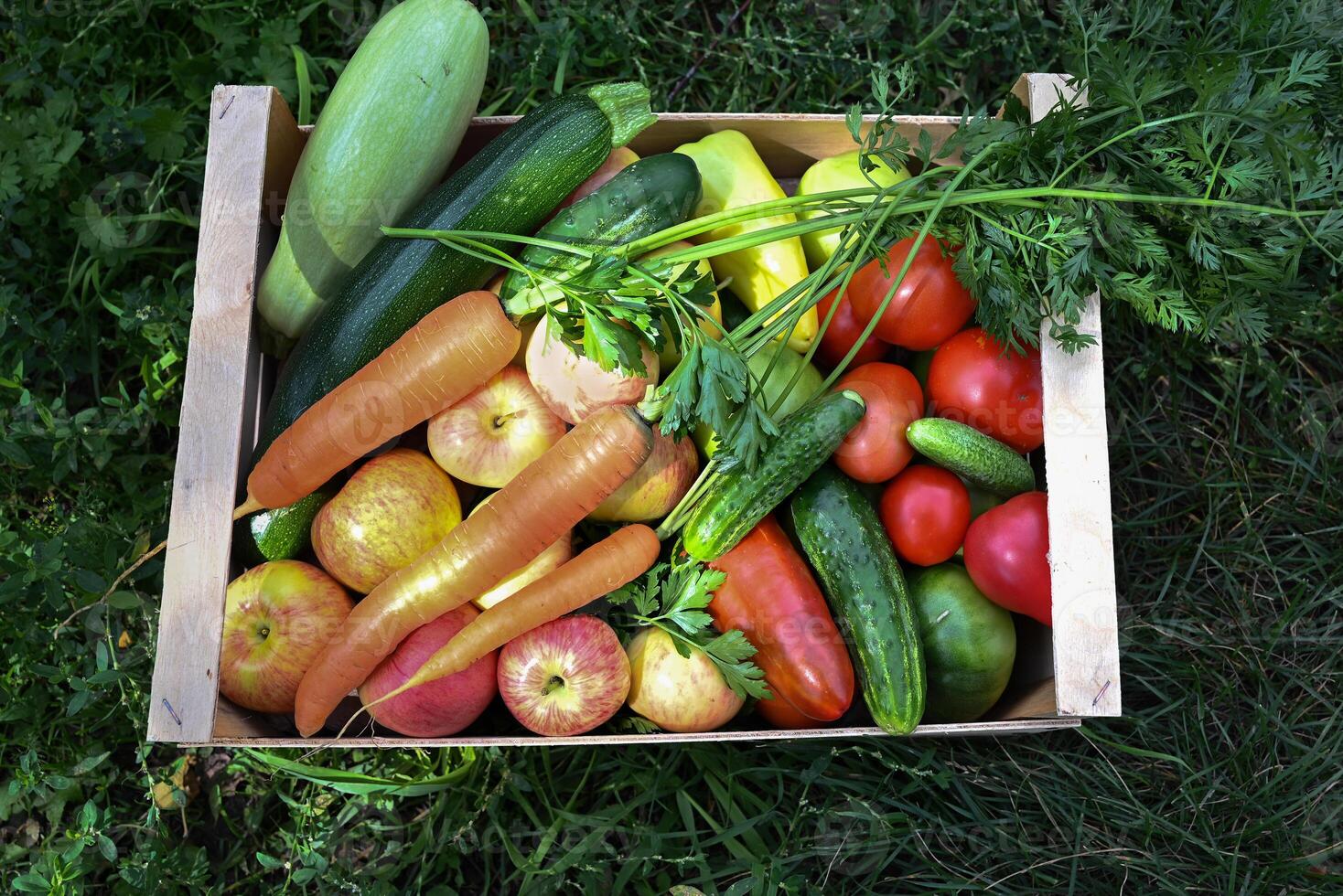A basket of fresh, locally grown produce, representing the connection between nature and human sustenance. The vibrant colors and textures of the fruits and vegetables invite viewers to appreciate photo
