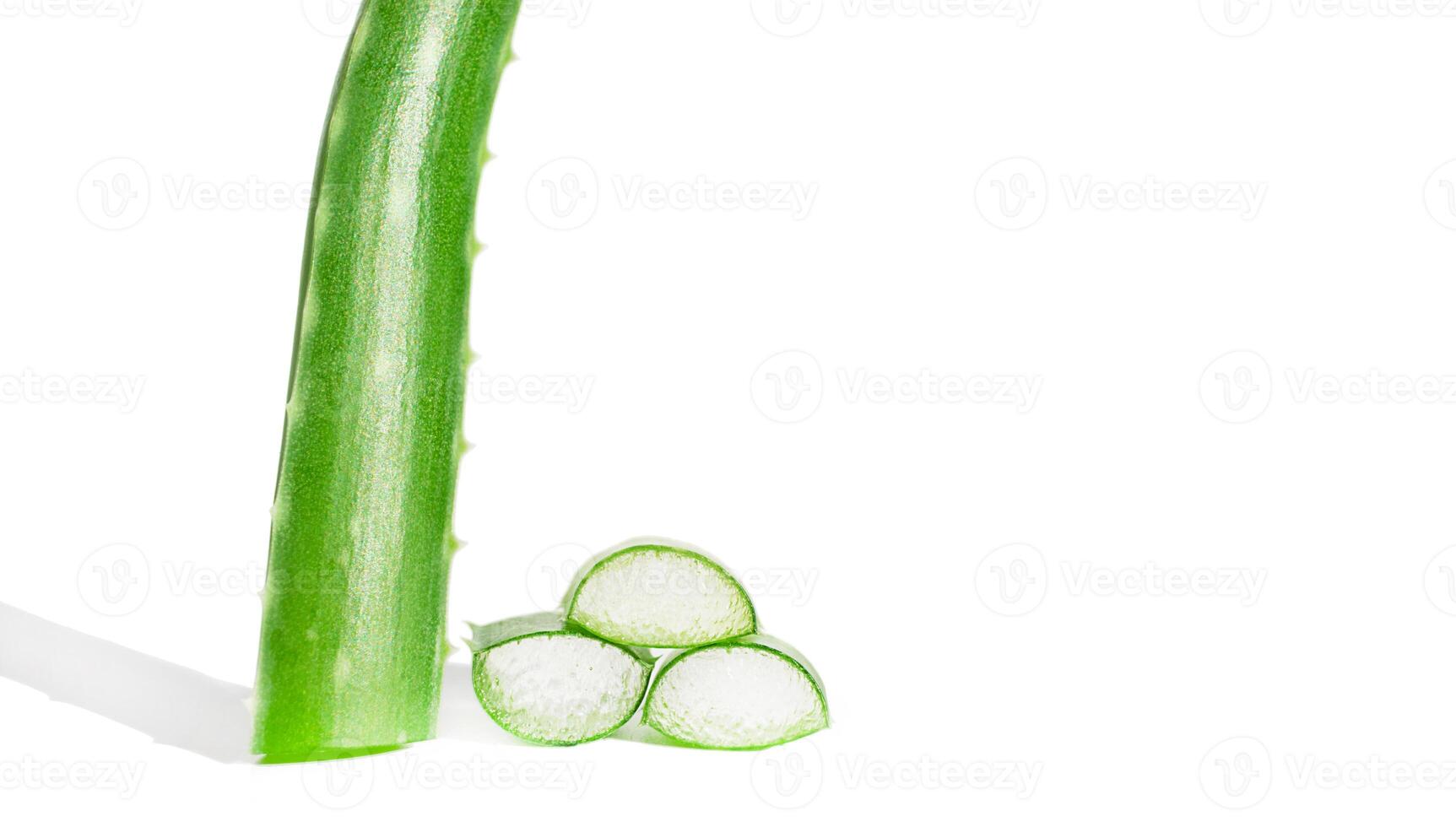 Aloe vera fresh leaf on isolated white background. The concept of cosmetology photo