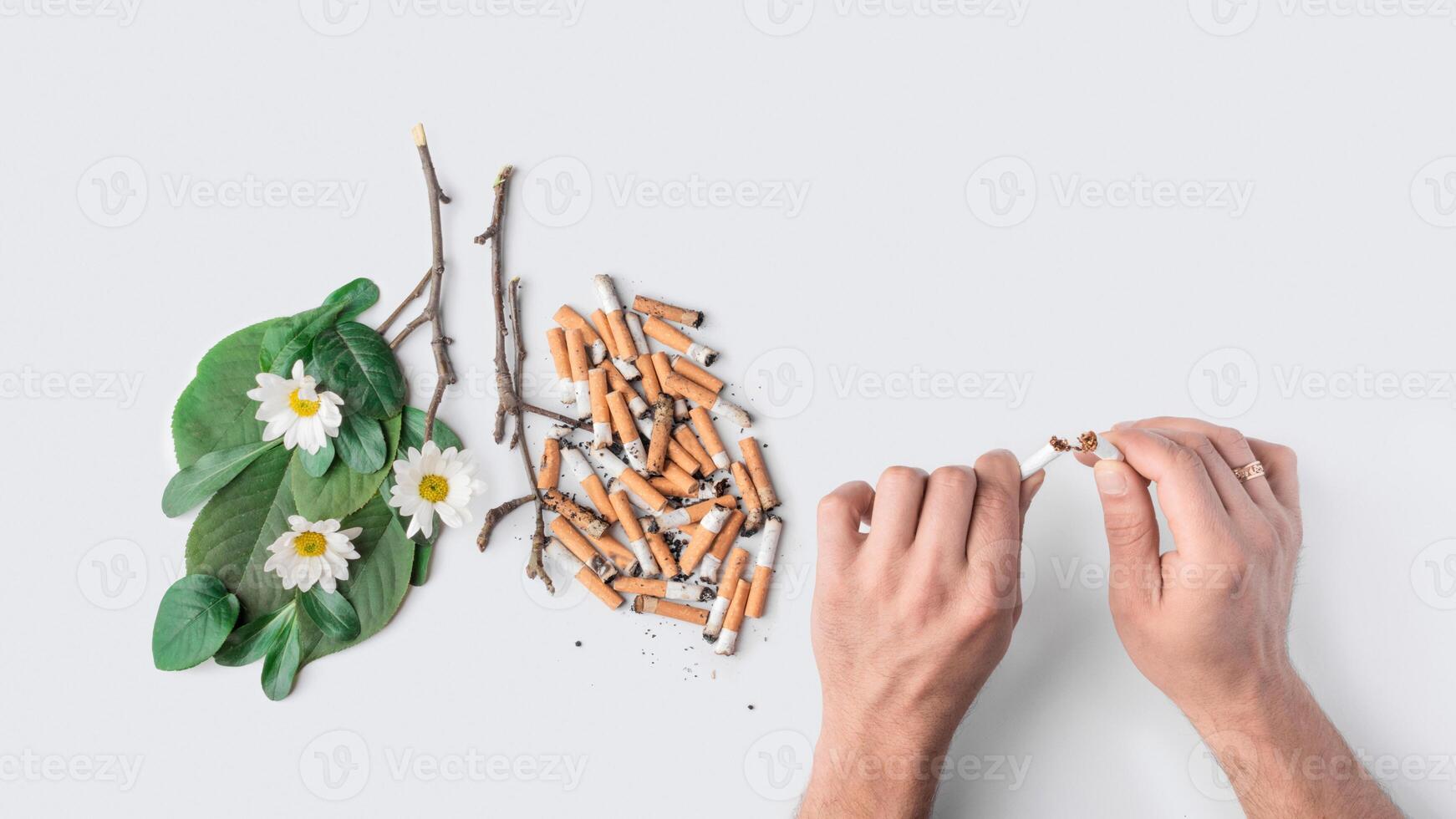 The last one cigarette conceptual photo. Stop smoking theme. Men's hands break a cigarette photo