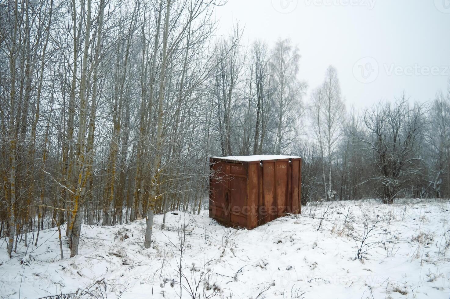 A lonely rusty metal mail container in a winter forest. High quality photo
