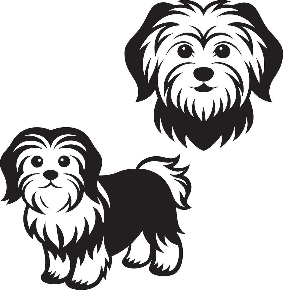 illustration of a shih tzu dog vector
