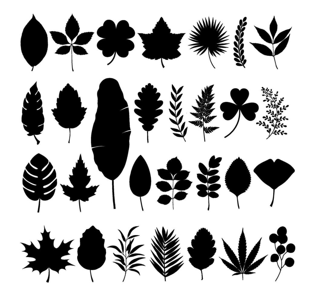 set of leaf silhouette vector