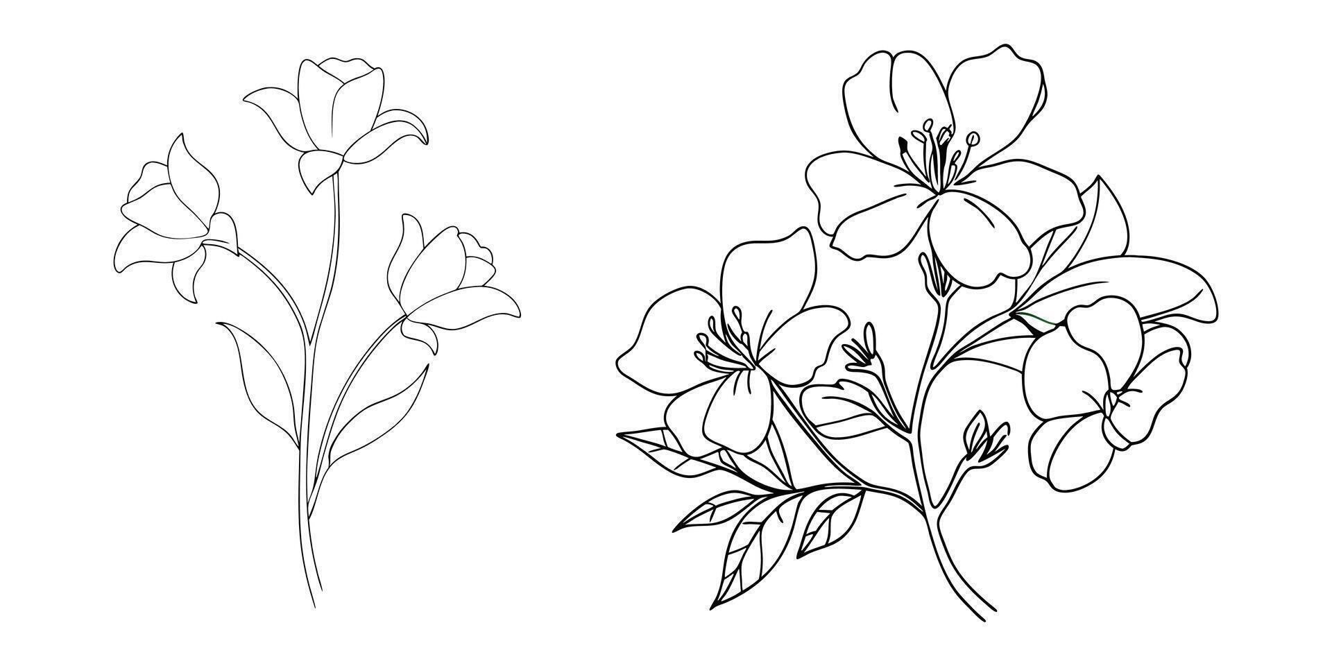 Hand drawn simple flower outline collection vector