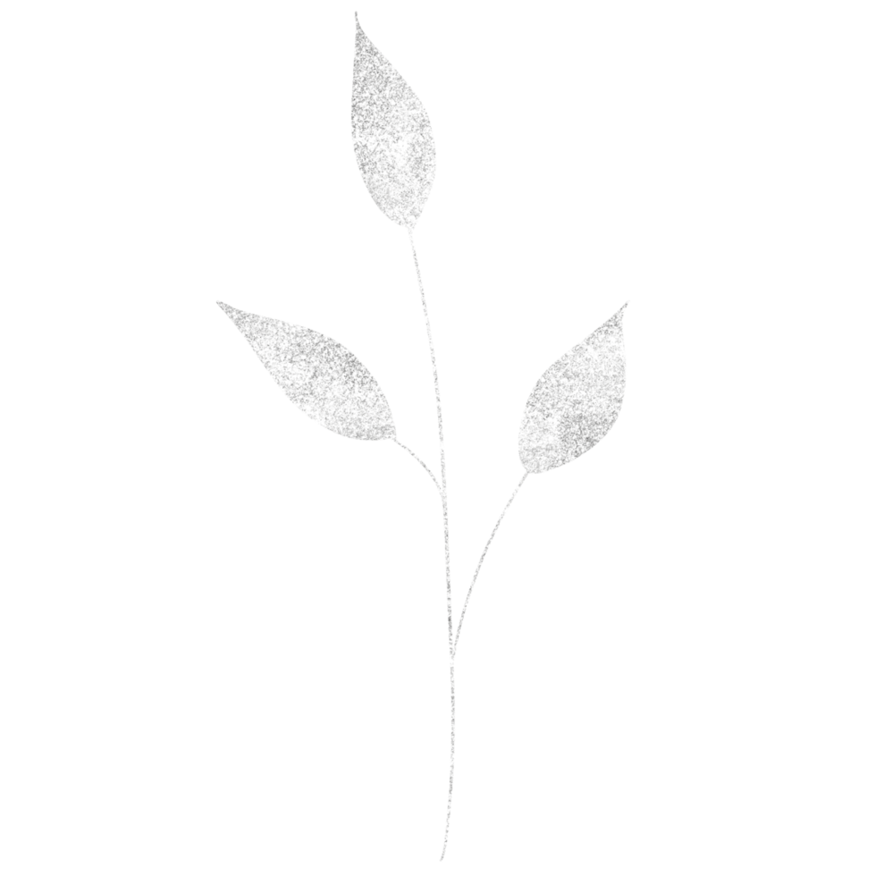 Shimmery silver leaf on a transparent background png