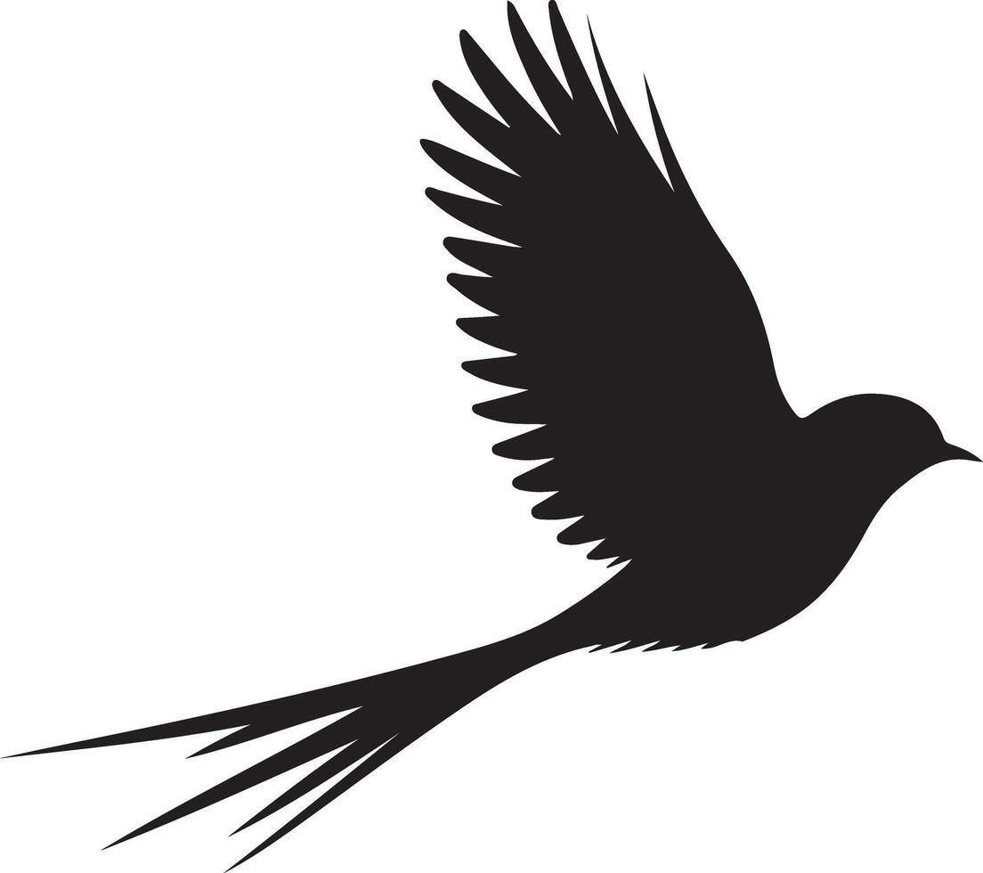 Dynamic Black Bird Silhouette in Flight with Long Tail Feathers vector
