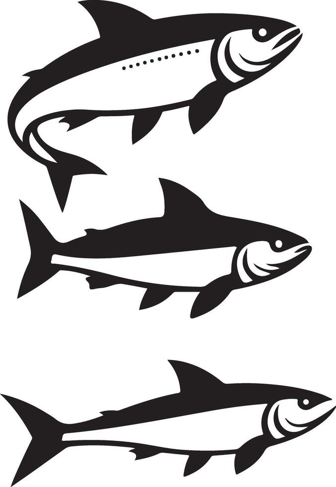 Collection of Three Stylish Black Salmon Fish Silhouette Illustrations vector