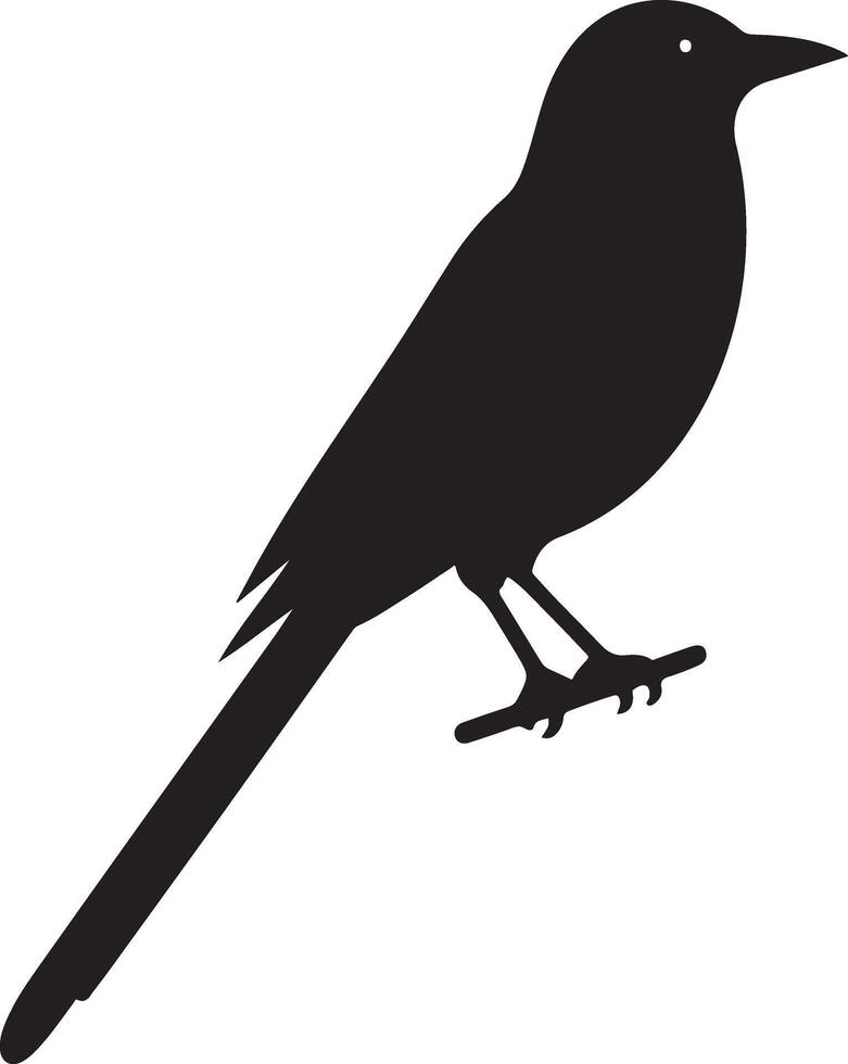 Black Silhouette Bird Illustration vector