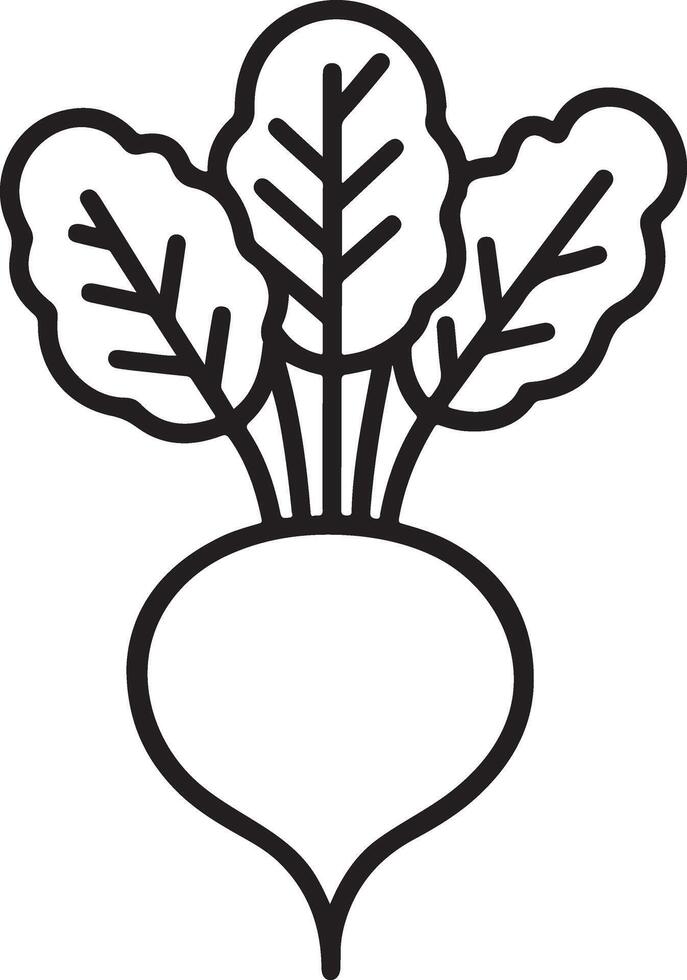 Outlined Beetroot Illustration for Design Projects vector