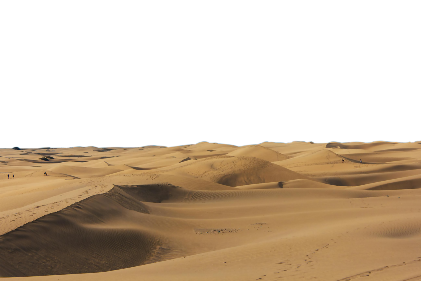 sand dunes in the desert isolated on transferred background png