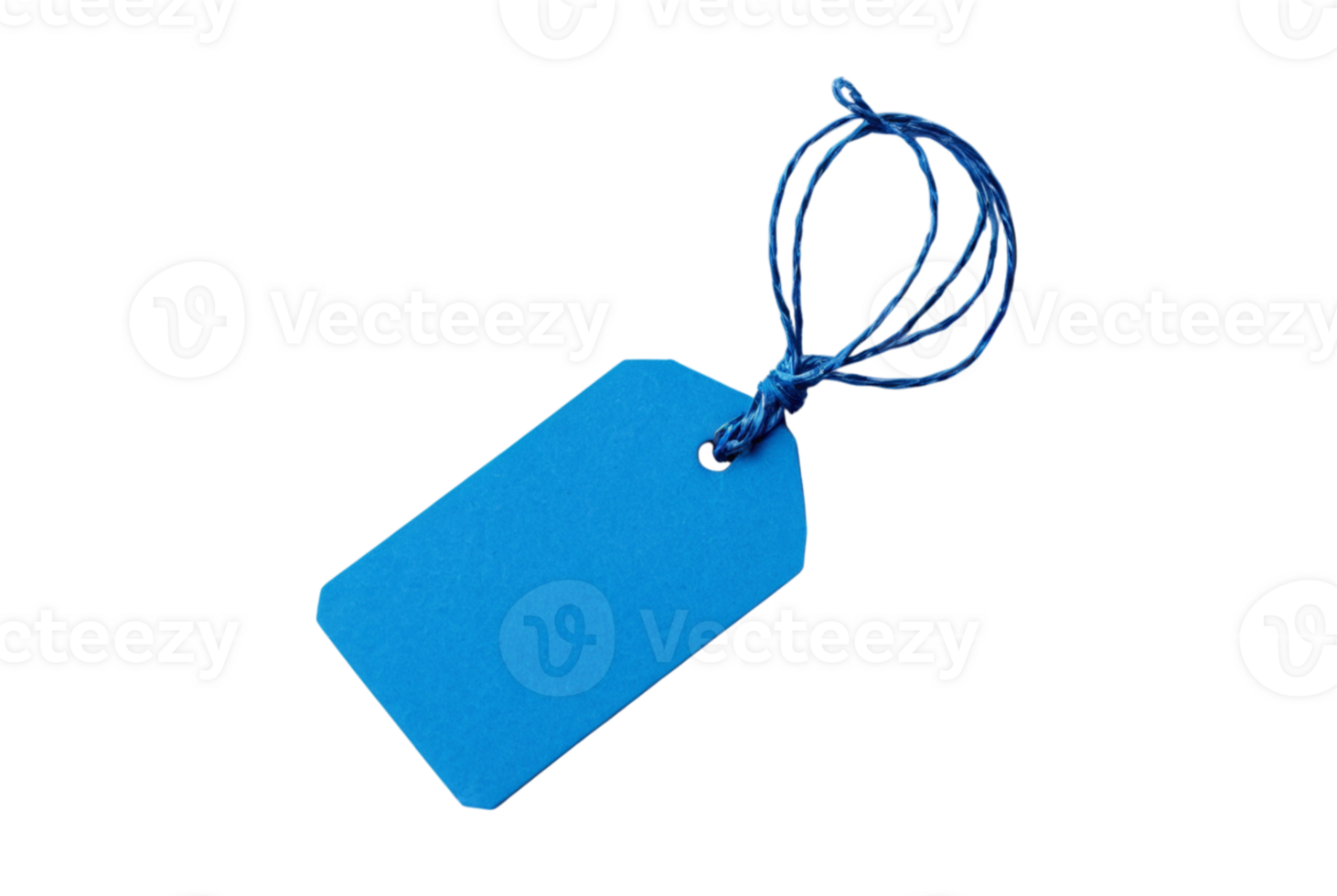 A blue stringed tag hangs png