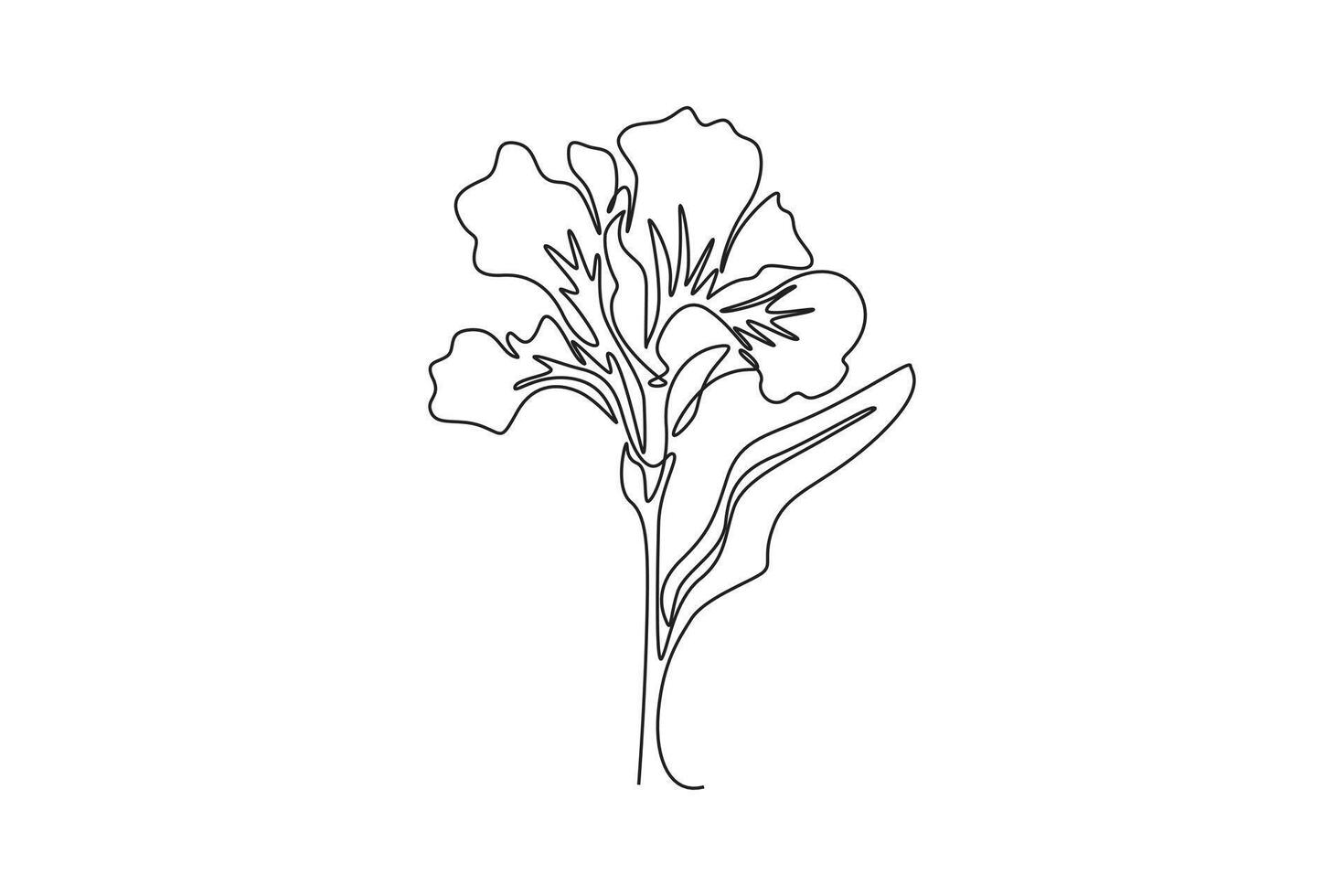 Single continuous line drawing beauty fresh canna for garden logo. Printable poster decorative canna lily flower concept for wedding invitation card. One line draw graphic design illustration vector