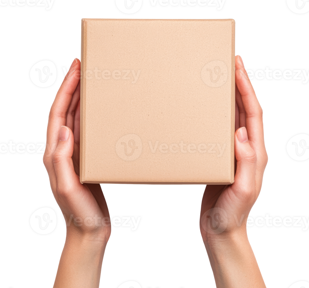 Woman hands with cardboard box isolated on transparent background png
