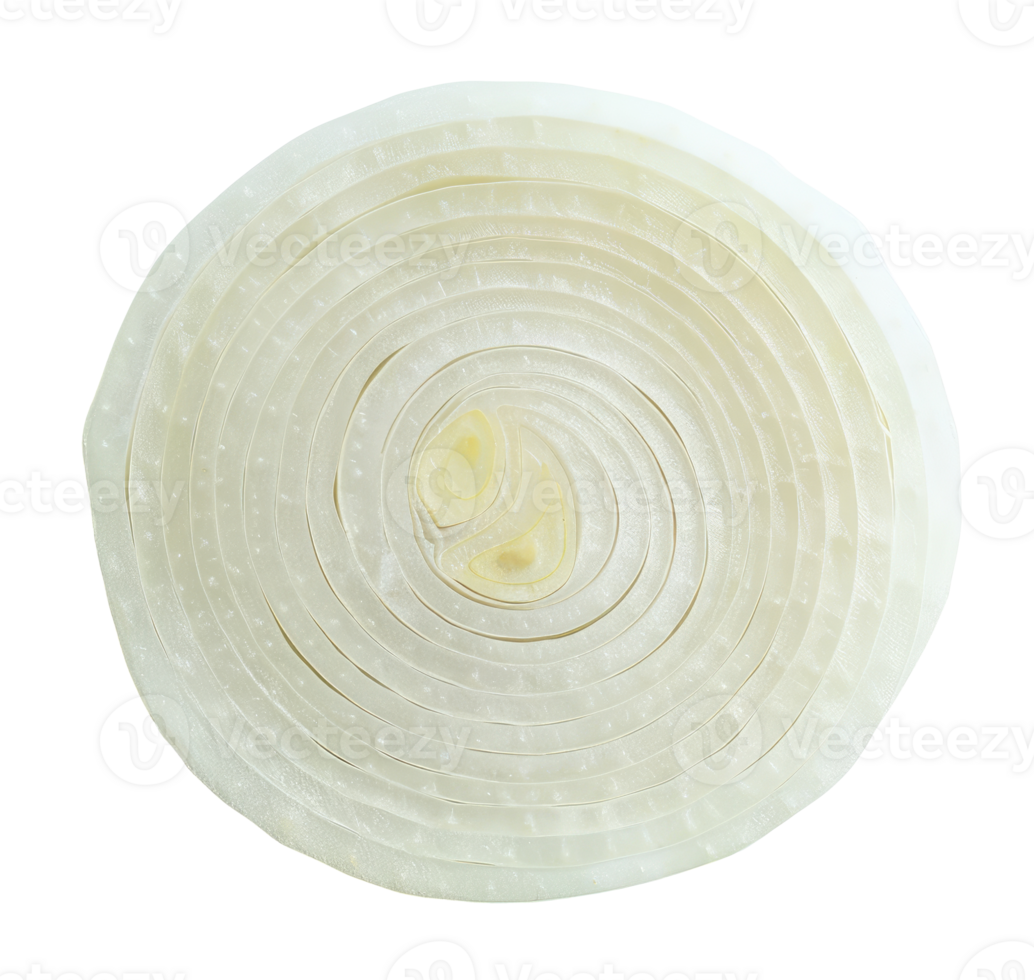Slice of onion isolated on transparent background png