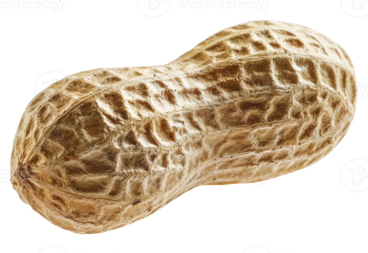 One peanut in a shell isolated on transparent background png