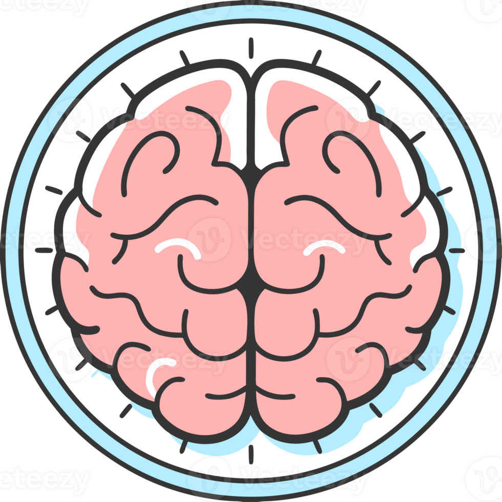 An illustration of a healthy human brain in an MRI scan png