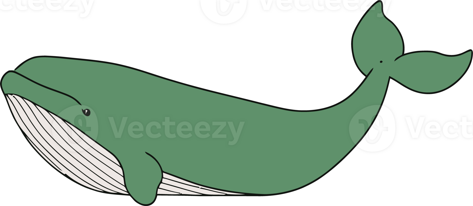 Green Whale Cute Ocean Animal Drawing in Simple Cartoon Style png