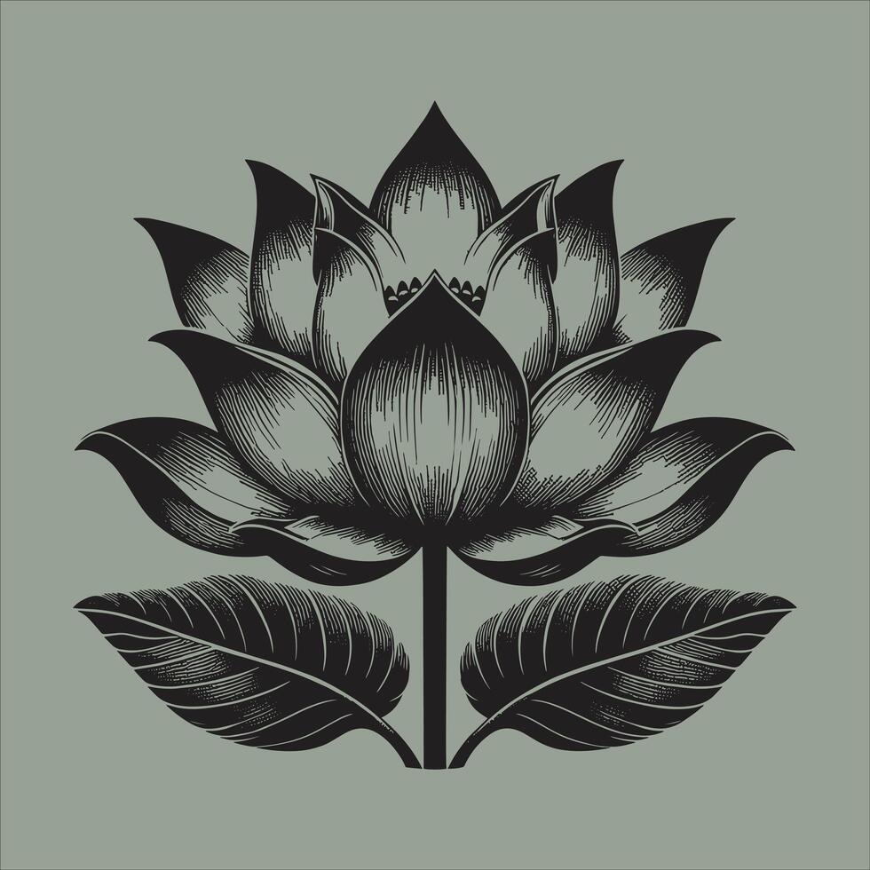 Lotus Flower Sketch Tattoo Design Line Drawing Outline Silhouette Free Illustration vector