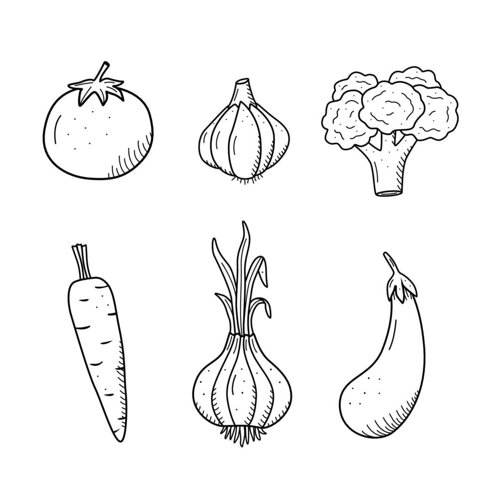 Collection of drawing vegetables in doodle style. A set of illustrations of the vegetable harvest vector