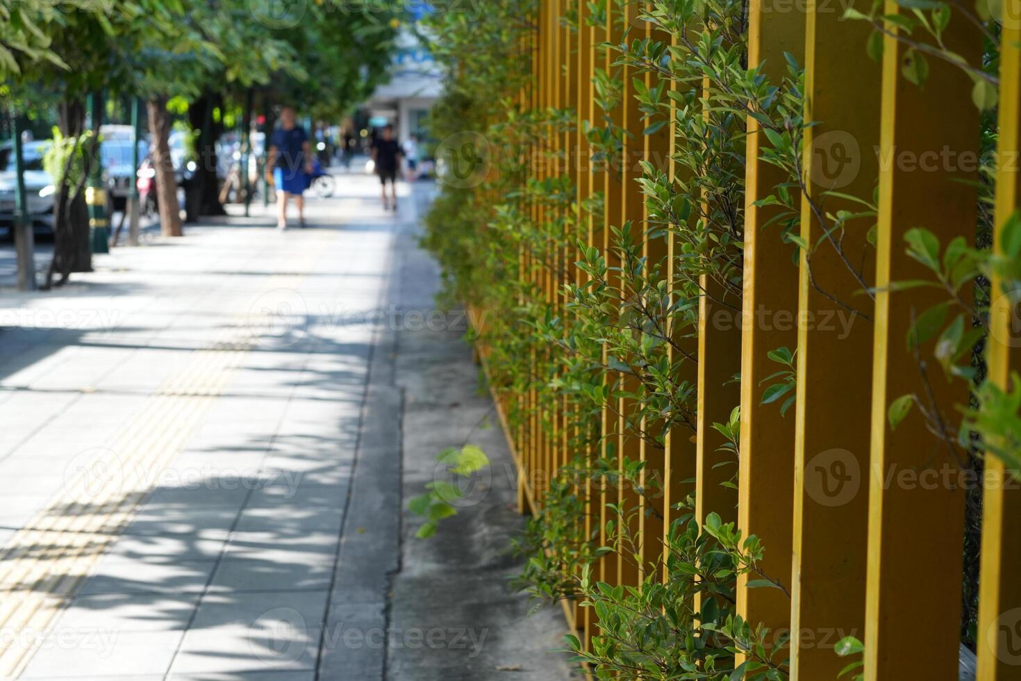 Selective focus narrow plant wall with green leaves and walkway in the urban park, Blurred people walking in the trail as background, Side walk with grass field and hedge fence. photo