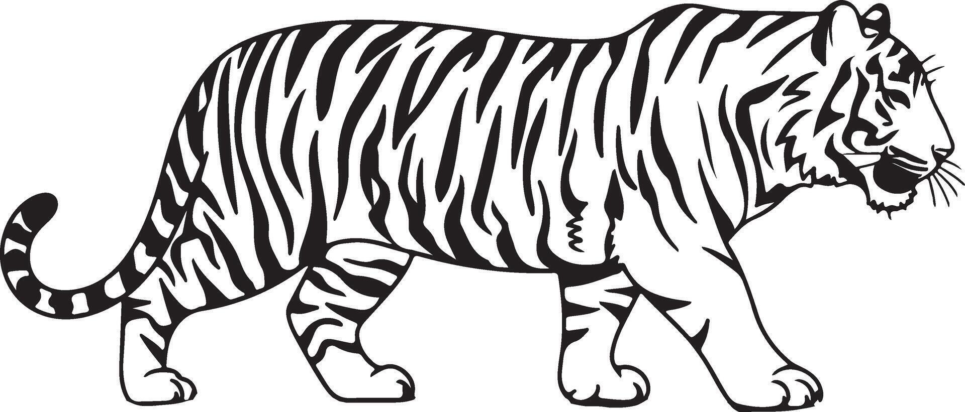 Graceful Tiger in Black and White vector