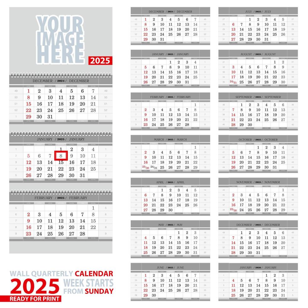 Wall quarterly calendar 2025. Week start from Sunday, ready for print. vector