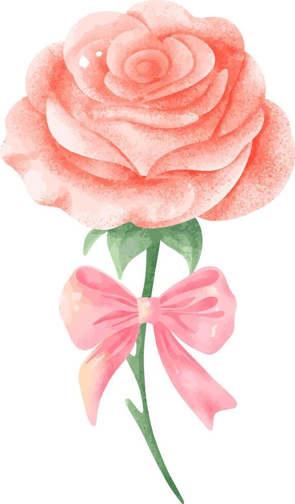 Soft Pink Rose and Ribbon Watercolor vector